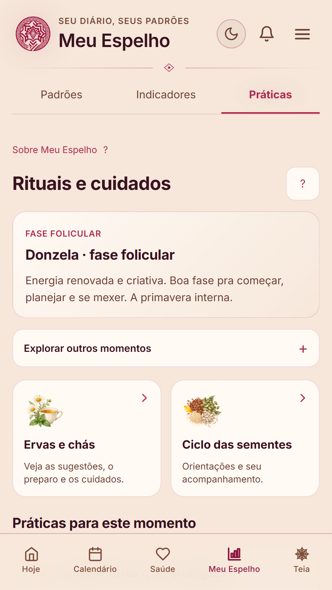 Aba Práticas do Meu Espelho, com sugestão de cuidado e acesso a ervas e sementes.